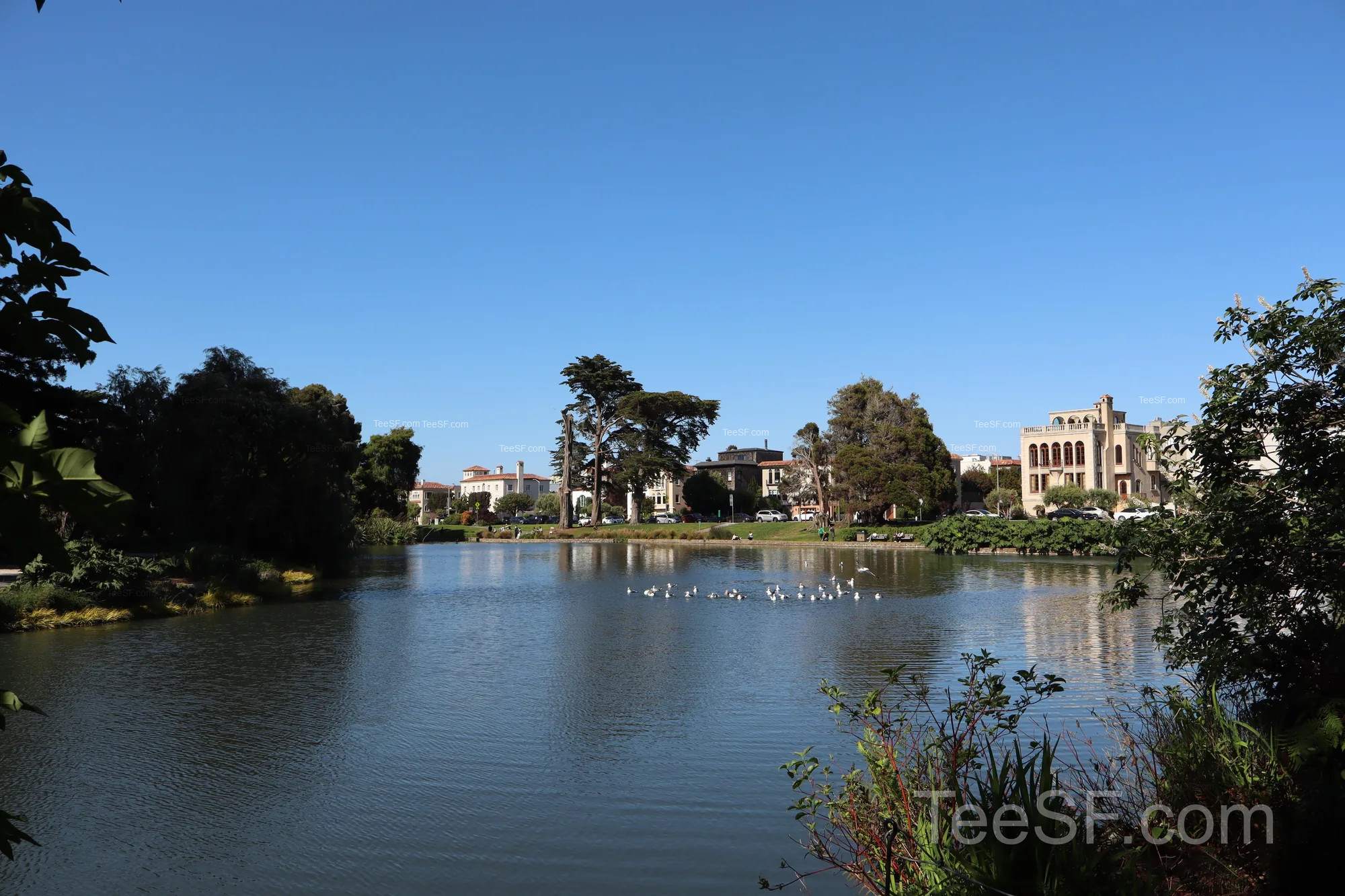 palace Lagoon Homes during a Stripe Sessions 2026 visit in San Francisco.
